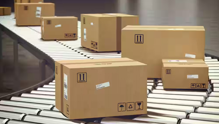 Protective Packaging Services in Batala